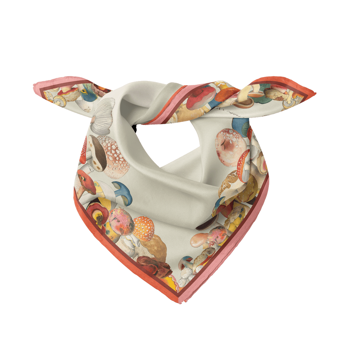 PRE-ORDER Raine + Roam x Mico Toadstool
