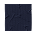 Mico Navy