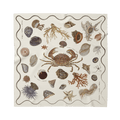 PRE-ORDER Raine + Roam x Mico Seashell