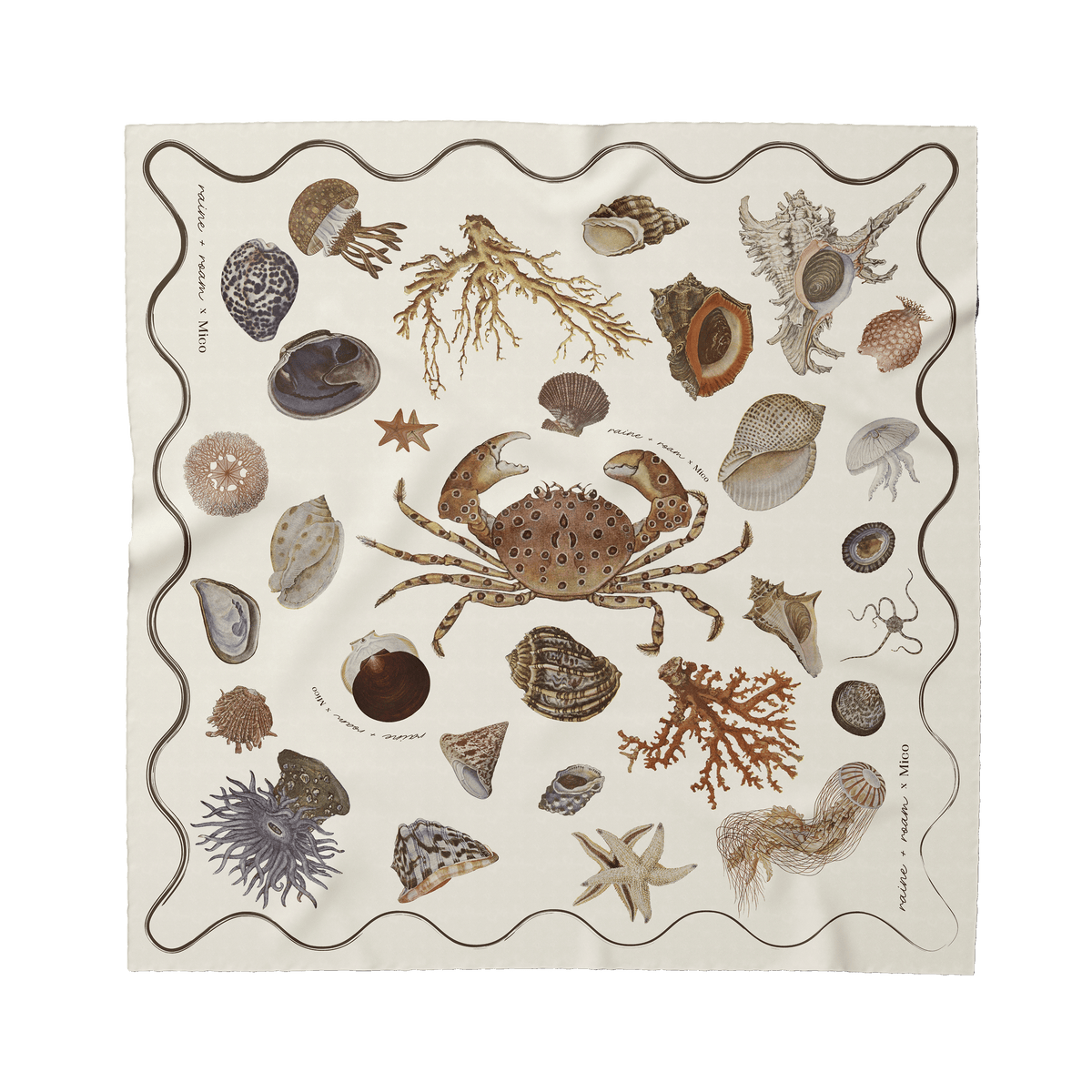 PRE-ORDER Raine + Roam x Mico Seashell